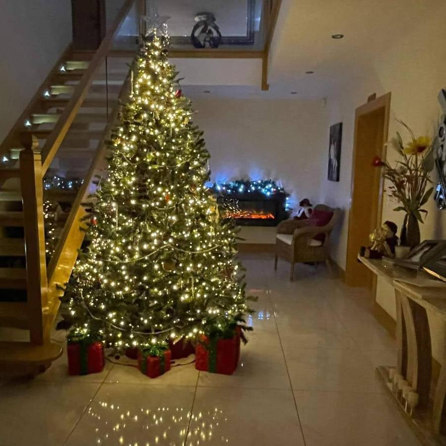 Woodview Bed & Breakfast Kilkeel Ngoại thất bức ảnh